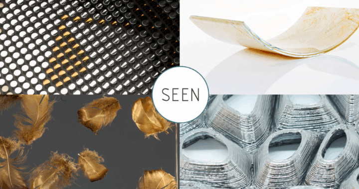 SEEN AG beim ZAK Festival