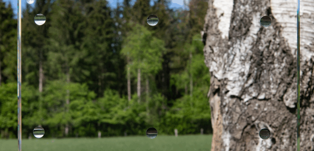 SEEN AG & Eastman Saflex