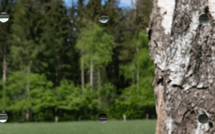 SEEN AG & Eastman Saflex