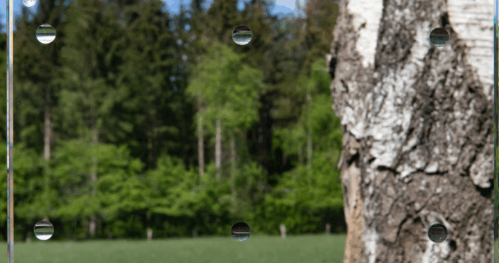 SEEN AG & Eastman Saflex