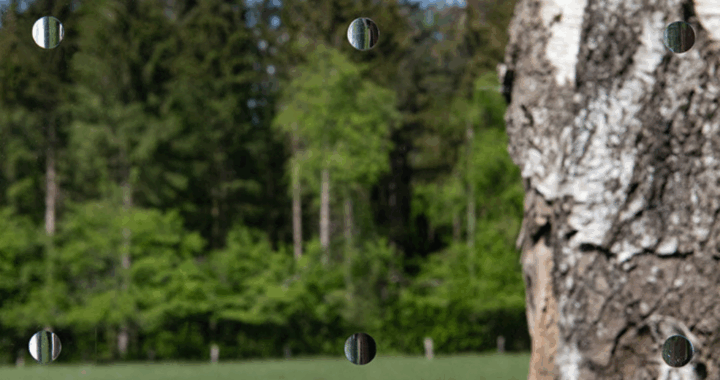 SEEN AG & Eastman Saflex