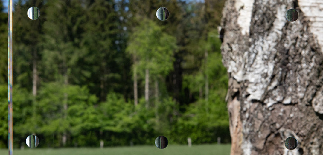 SEEN AG & Eastman Saflex