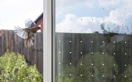 Vogelschutz an Glasscheiben mit SEEN Elements