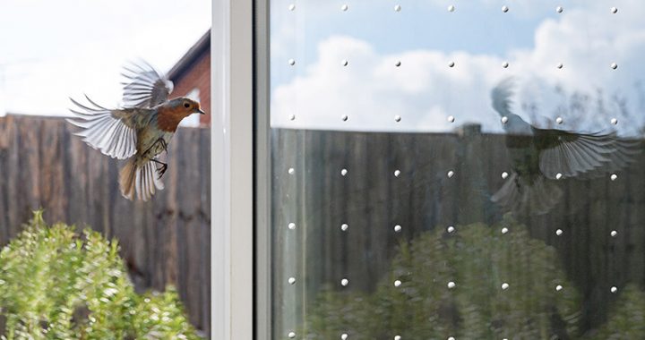 Kreative statische fliegende Vogel Anti-Kollisions-Fenster