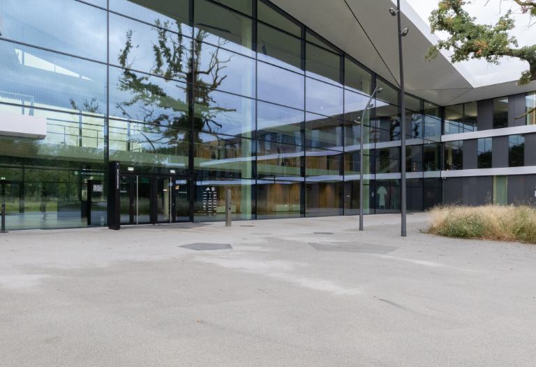 SEEN Vogelschutzmarkierungen DFB Campus
